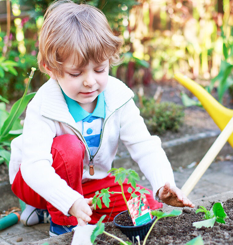 Preschool child caring for a plant seedling in the classroom garden at Nurturing Knowledge Preschool in Seattle